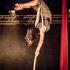 Lorena Menade  - aerial acrobat et celtic harp player  - Image 6