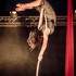 Lorena Menade  - aerial acrobat et celtic harp player – photo 6