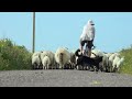 Voir la vidéo Irlande, carrément à l'Ouest - Image 2