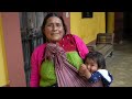 Voir la vidéo Mexique, l'écho des cités Mayas - Image 2